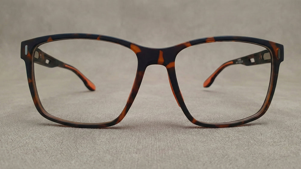 Aspen C. Havana eyewear