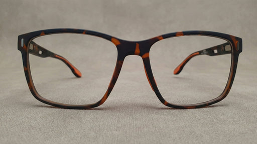 Aspen C. Havana eyewear